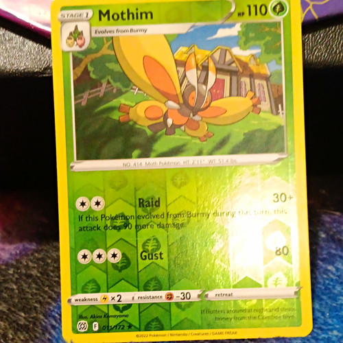 The pokémon company mothim - pokémon,