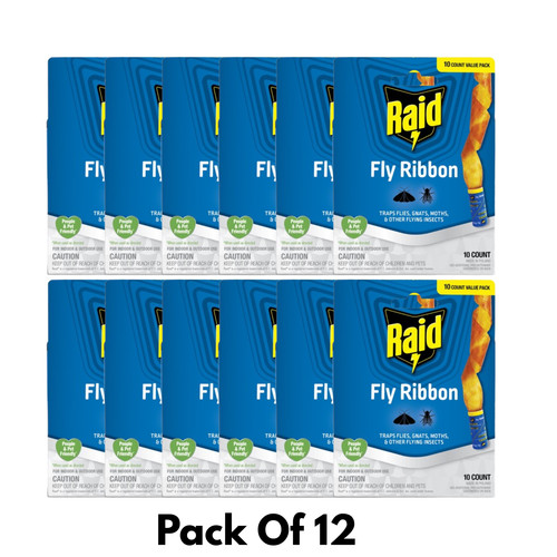 Raid fly ribbon trap - fly, count